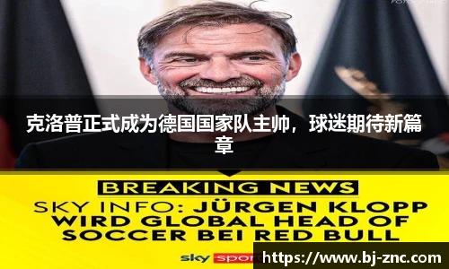 乐鱼体育官网