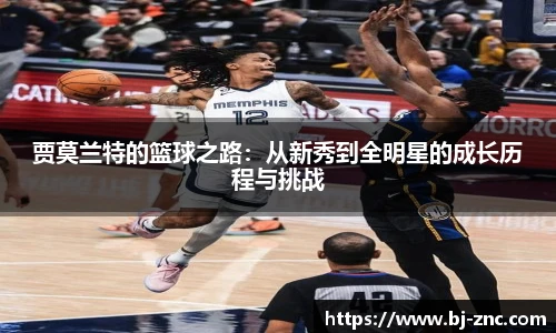 乐鱼体育官网